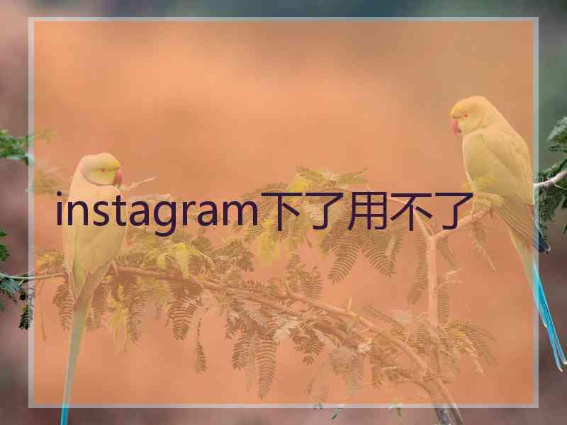 instagram下了用不了