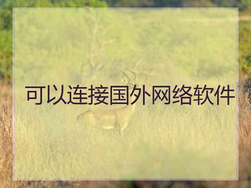 可以连接国外网络软件
