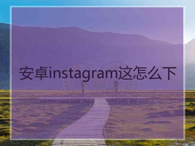 安卓instagram这怎么下