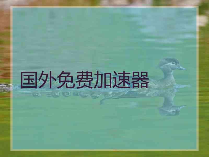 国外免费加速器