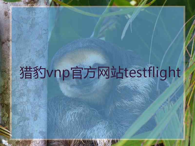 猎豹vnp官方网站testflight