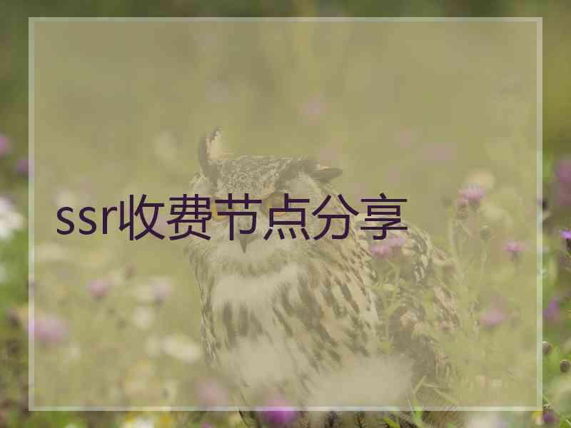 ssr收费节点分享