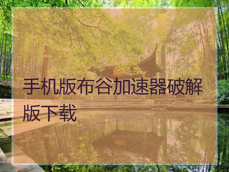 手机版布谷加速器破解版下载