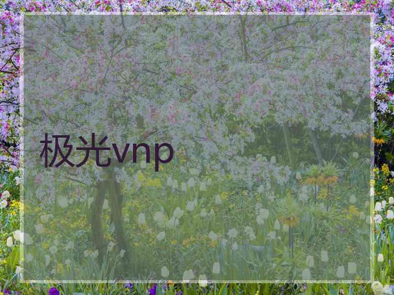 极光vnp