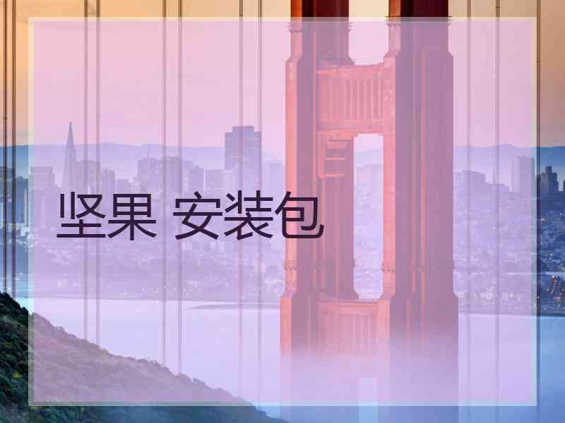 坚果 安装包