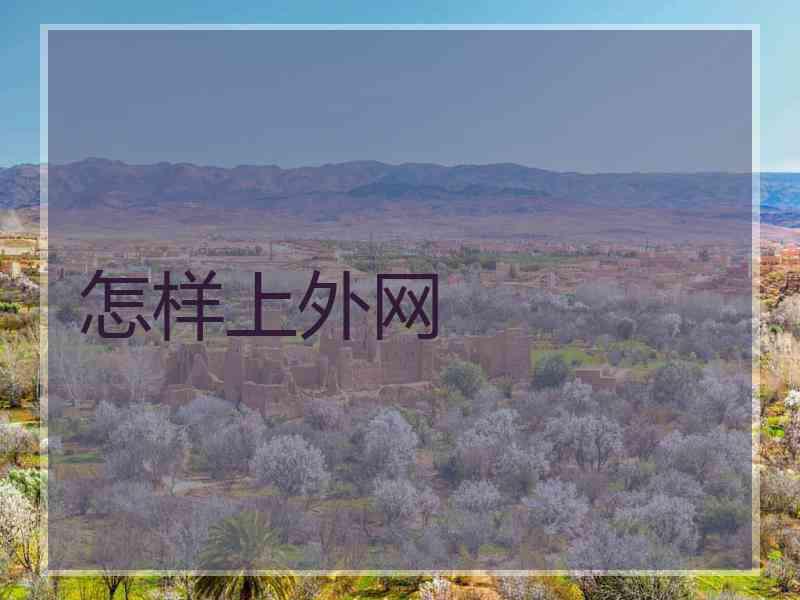 怎样上外网