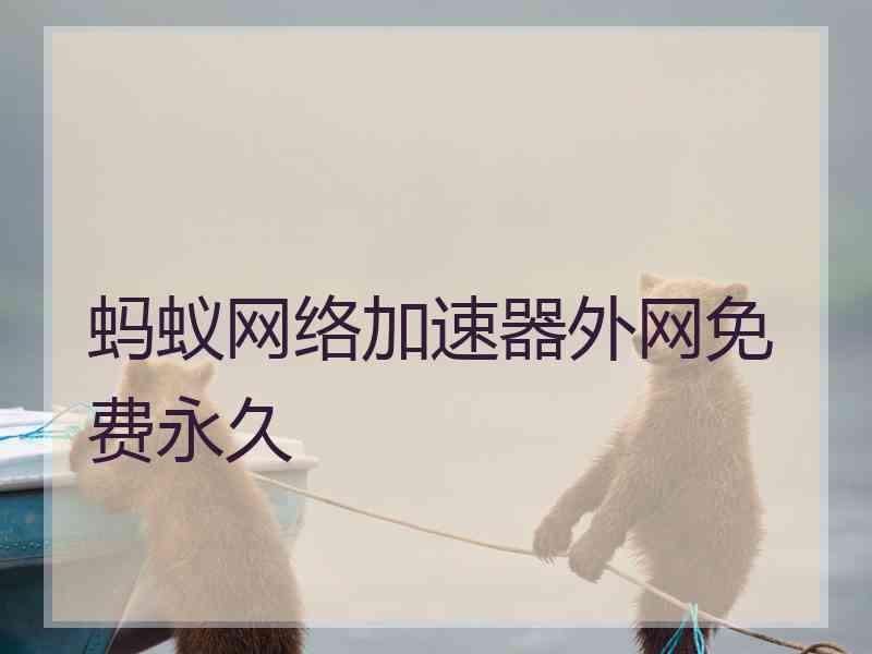 蚂蚁网络加速器外网免费永久