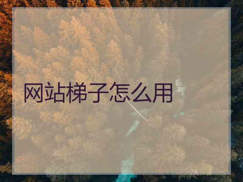 网站梯子怎么用