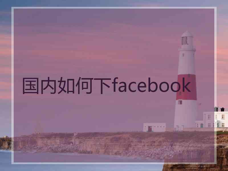 国内如何下facebook