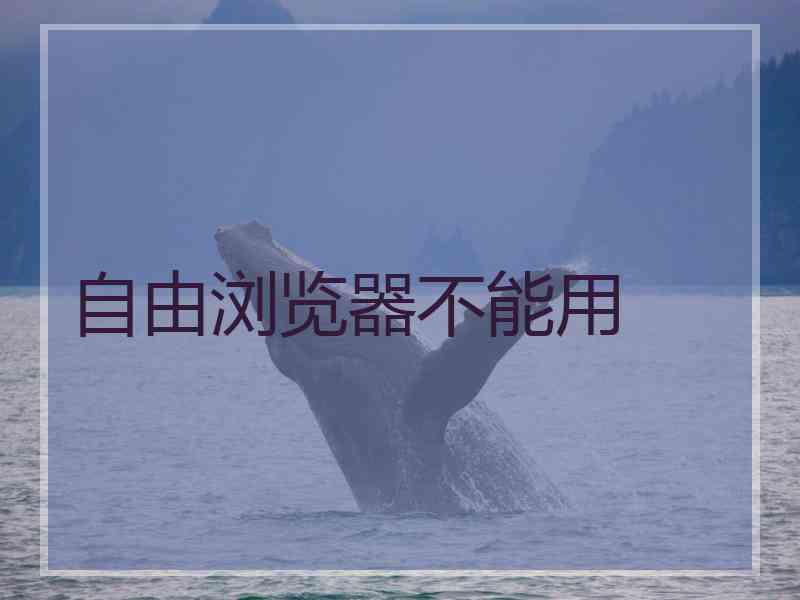 自由浏览器不能用