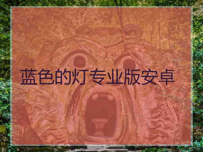 蓝色的灯专业版安卓