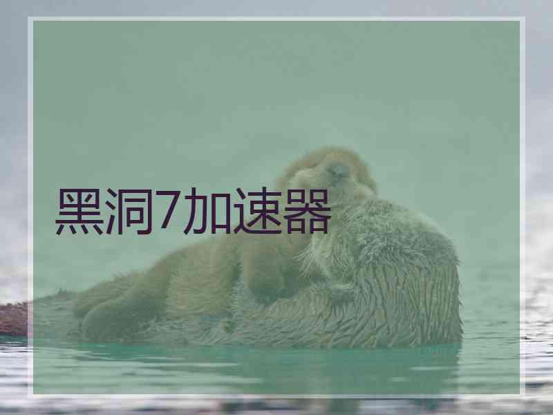 黑洞7加速器