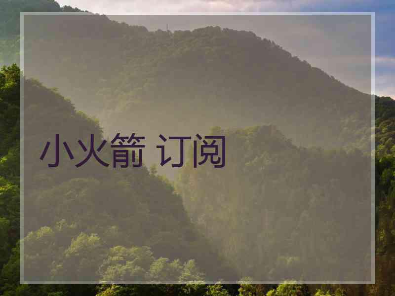 小火箭 订阅