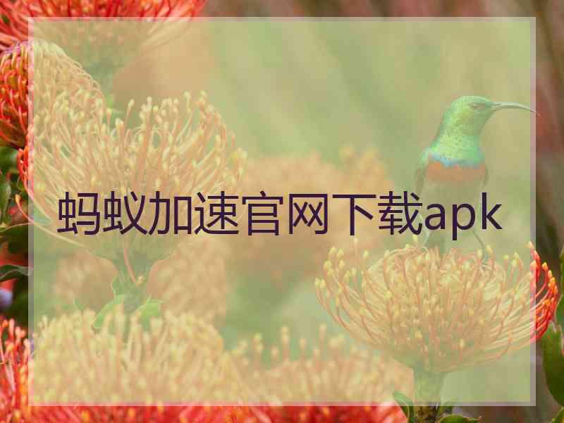 蚂蚁加速官网下载apk