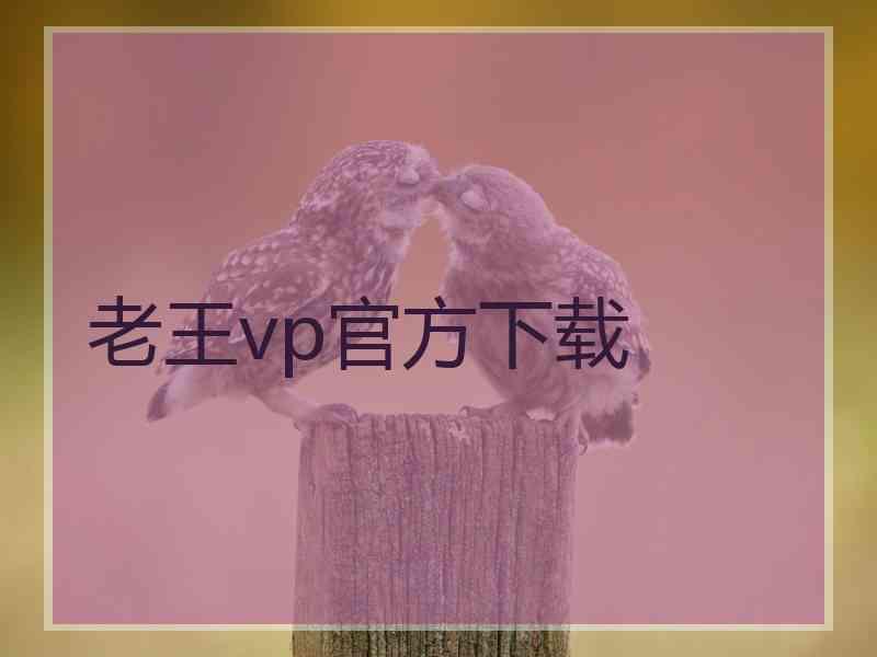 老王vp官方下载
