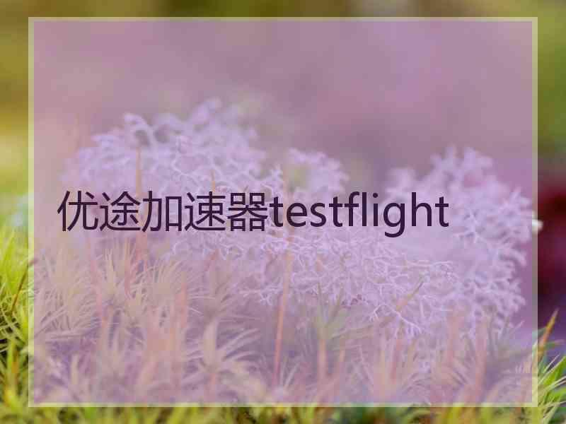 优途加速器testflight