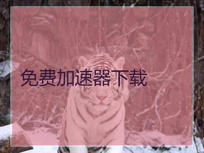 免费加速器下载