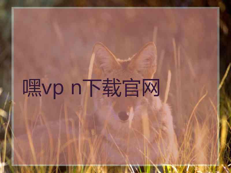 嘿vp n下载官网