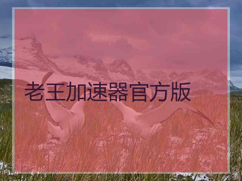 老王加速器官方版