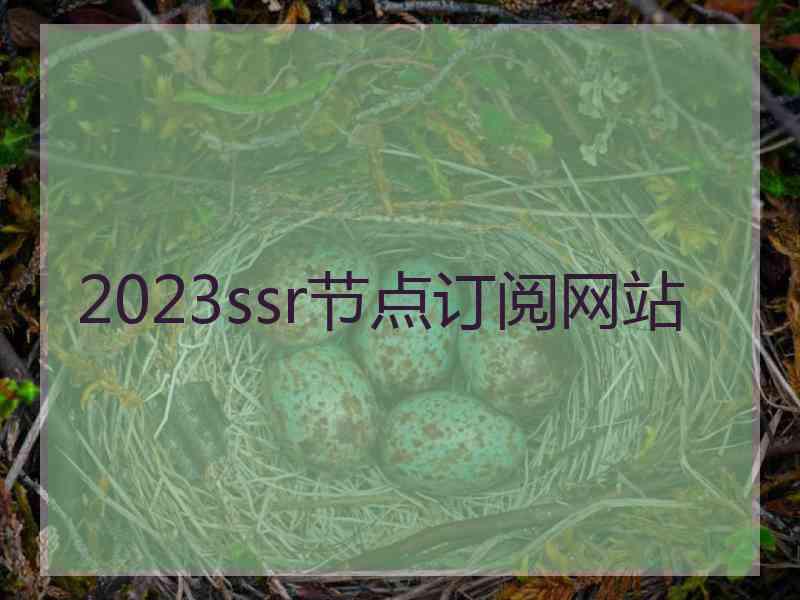 2023ssr节点订阅网站