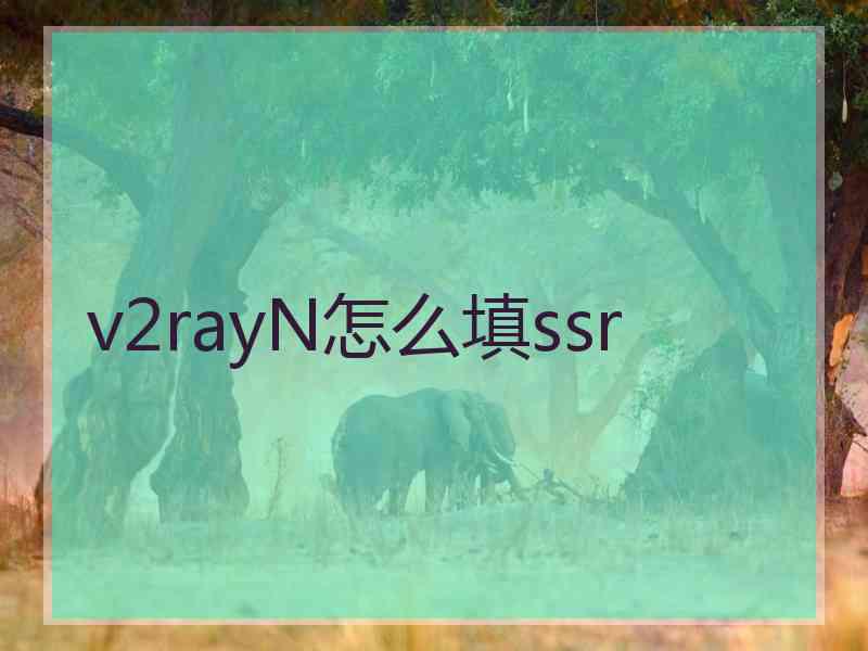 v2rayN怎么填ssr