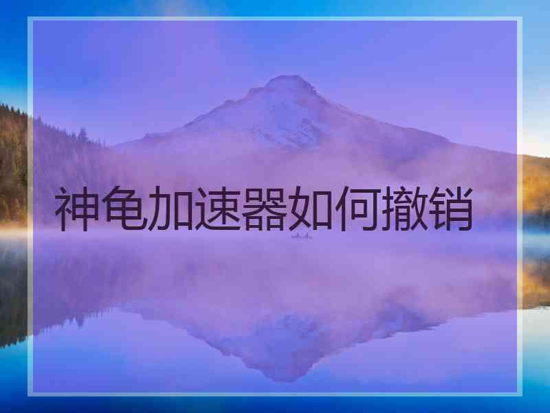 神龟加速器如何撤销