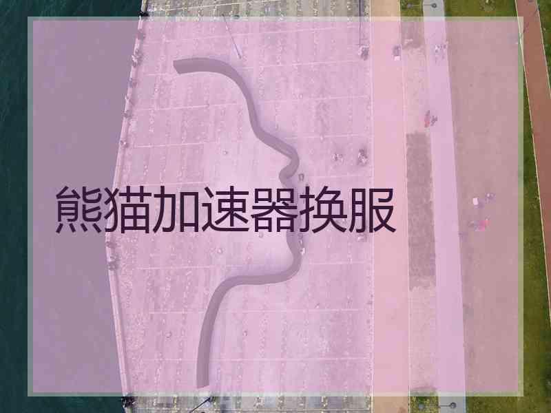 熊猫加速器换服