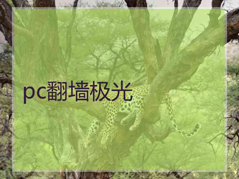 pc翻墙极光