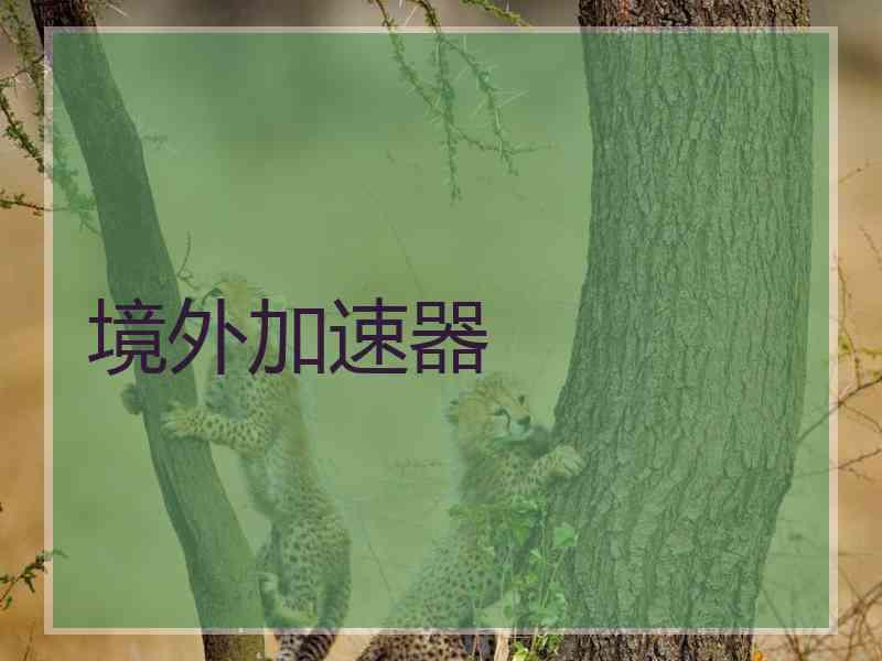 境外加速器