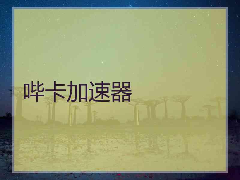 哔卡加速器