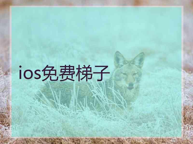 ios免费梯子
