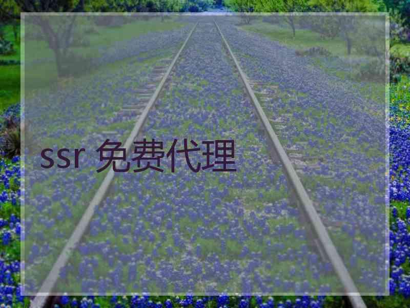 ssr 免费代理