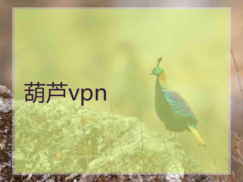 葫芦vpn