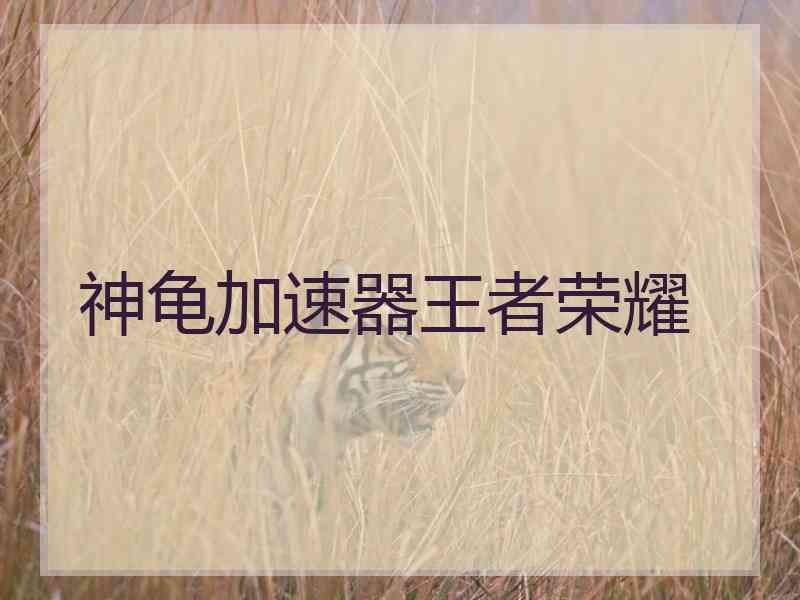 神龟加速器王者荣耀