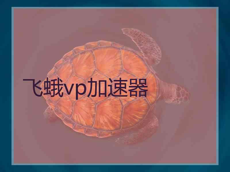 飞蛾vp加速器