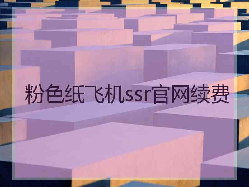 粉色纸飞机ssr官网续费