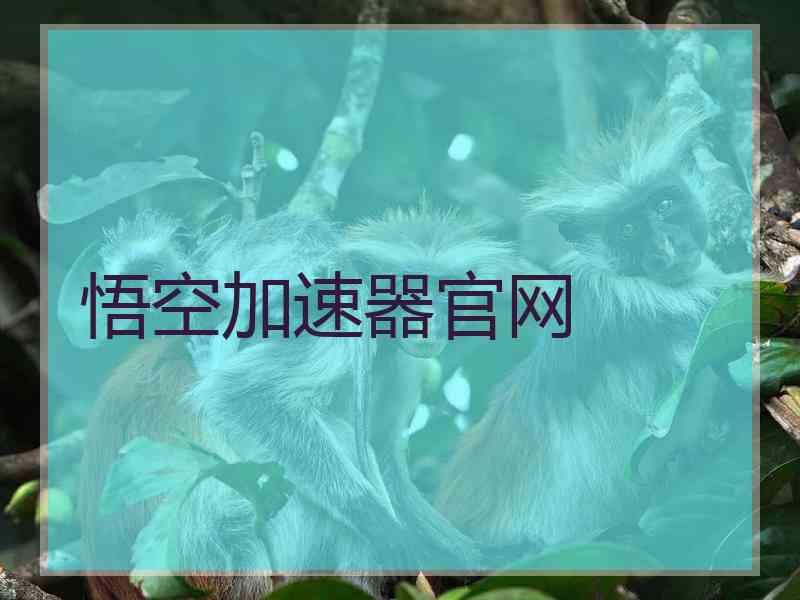 悟空加速器官网
