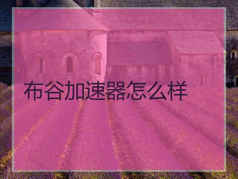 布谷加速器怎么样