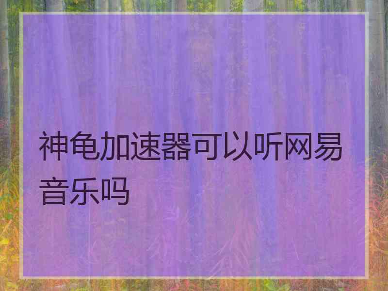 神龟加速器可以听网易音乐吗