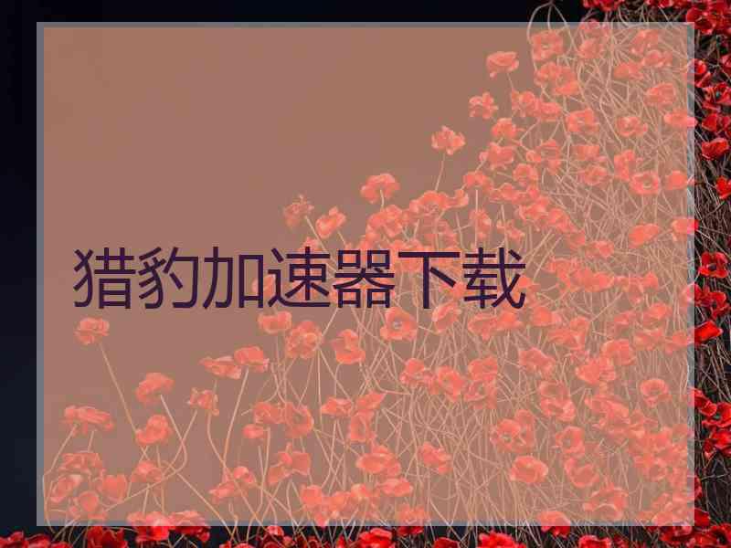 猎豹加速器下载