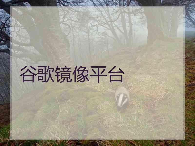 谷歌镜像平台
