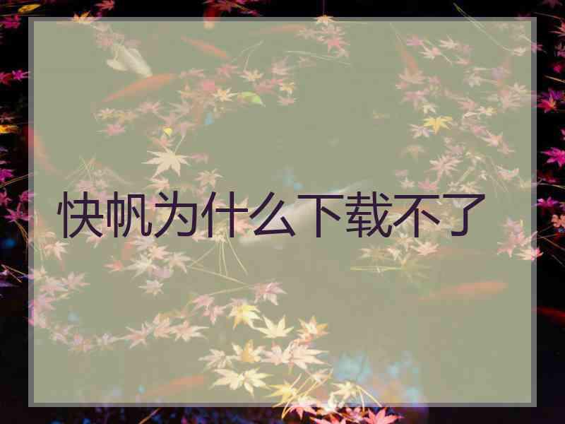 快帆为什么下载不了