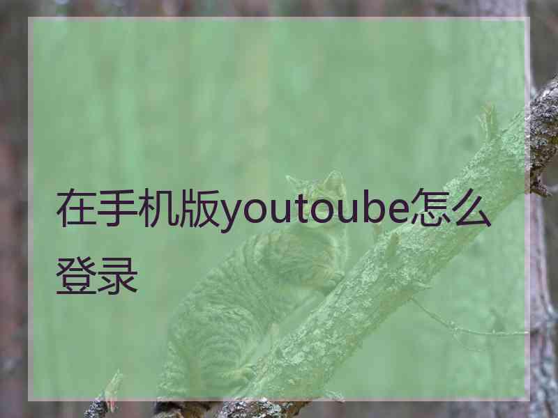 在手机版youtoube怎么登录