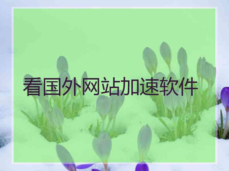 看国外网站加速软件
