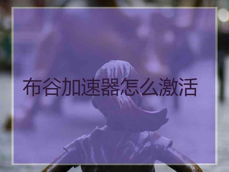 布谷加速器怎么激活