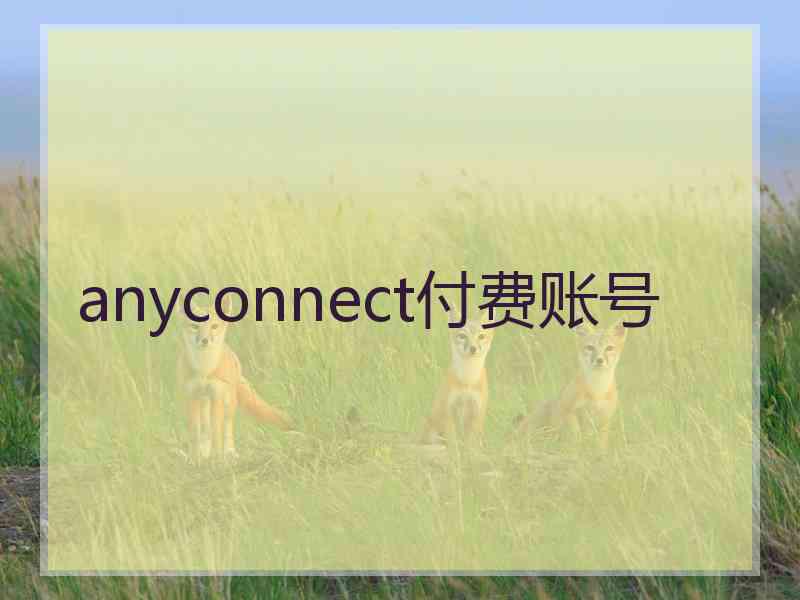 anyconnect付费账号