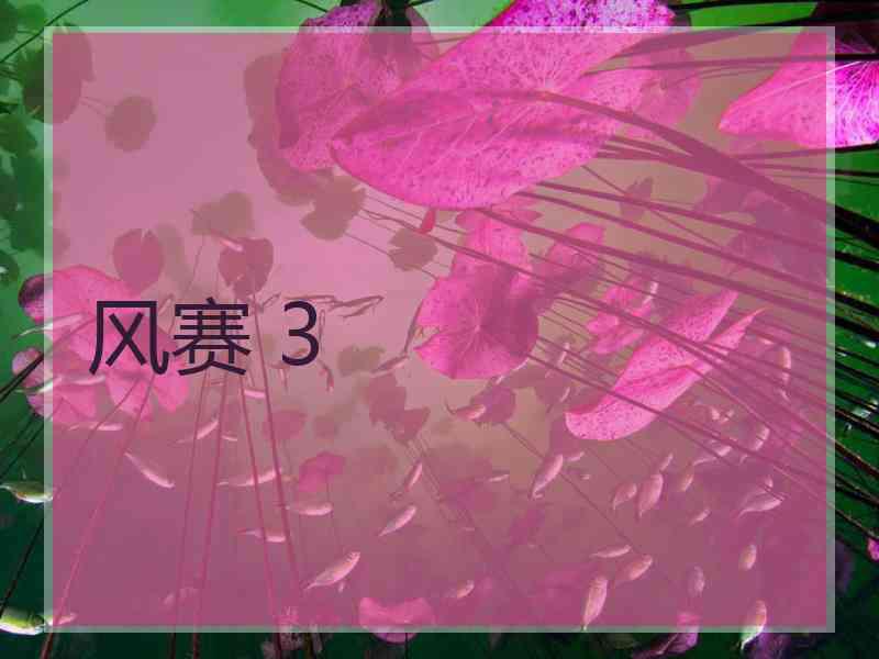 风赛 3