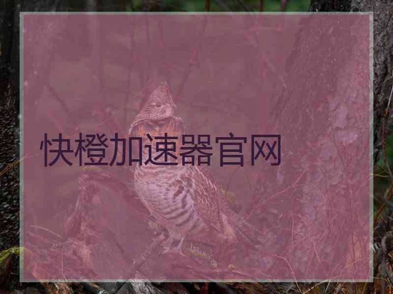 快橙加速器官网