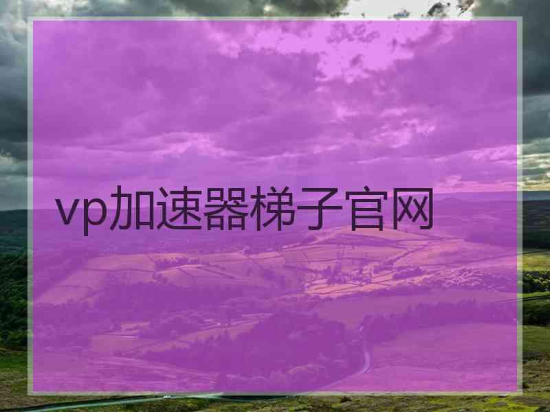 vp加速器梯子官网