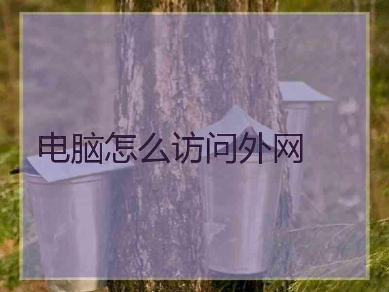 电脑怎么访问外网